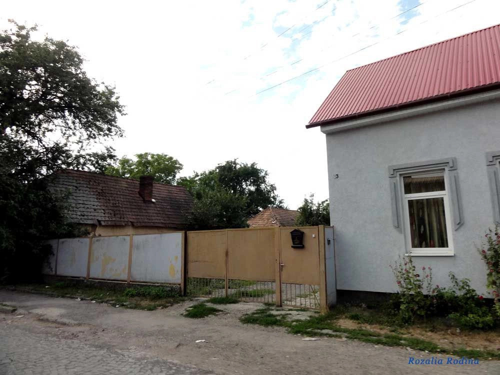 Мукачевский район