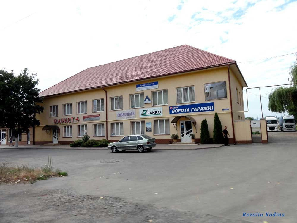 Мукачевский район