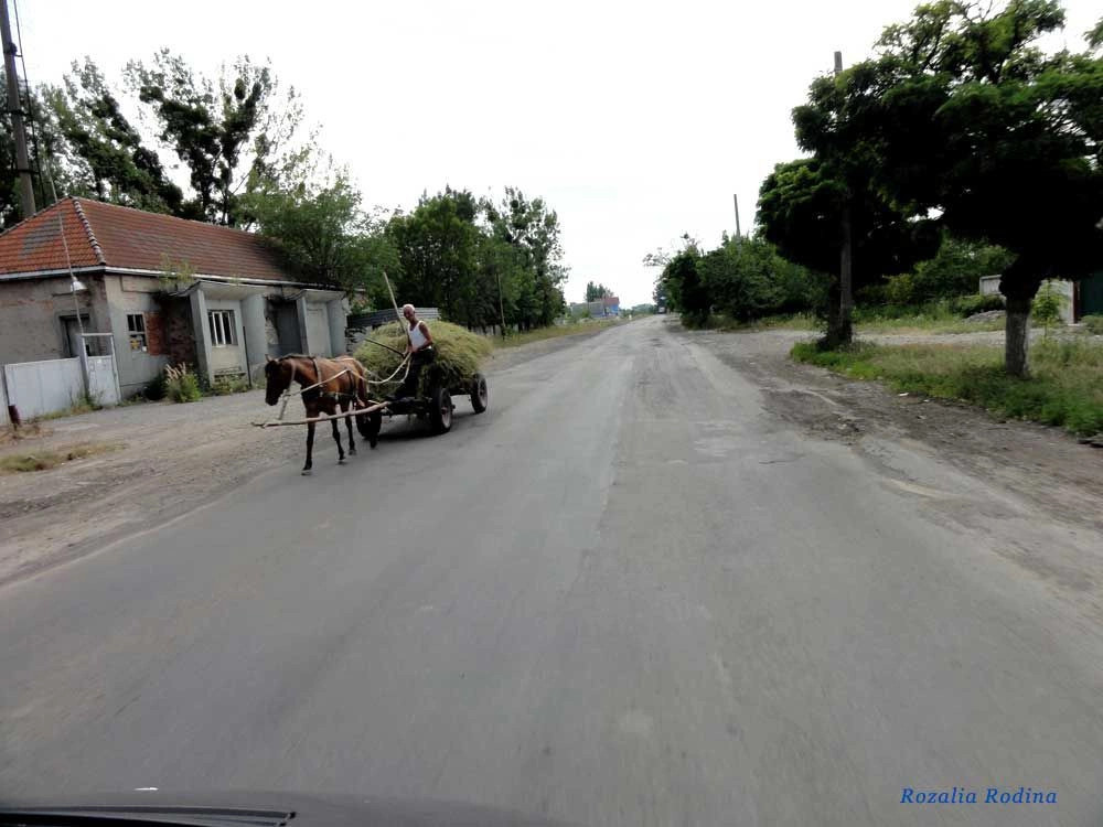 Мукачевский район