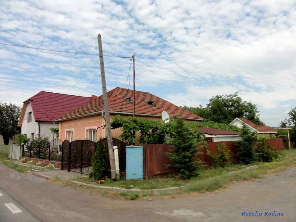 Мукачевский район