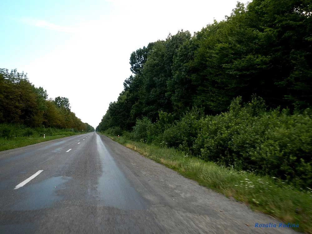 Мукачевский район