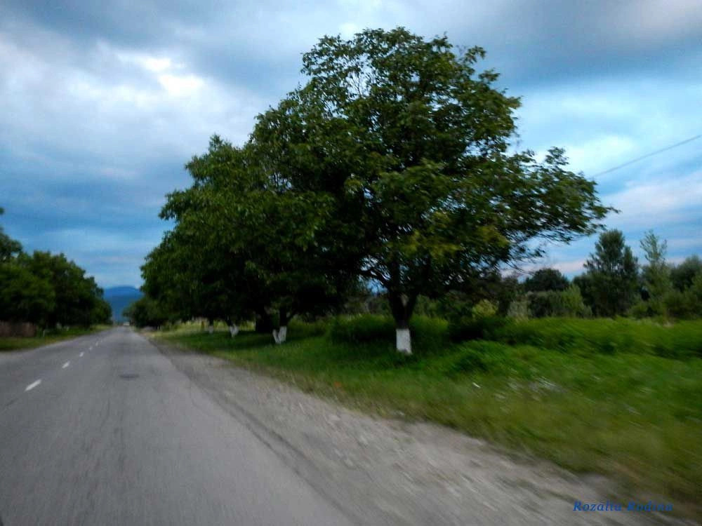 Раховский район