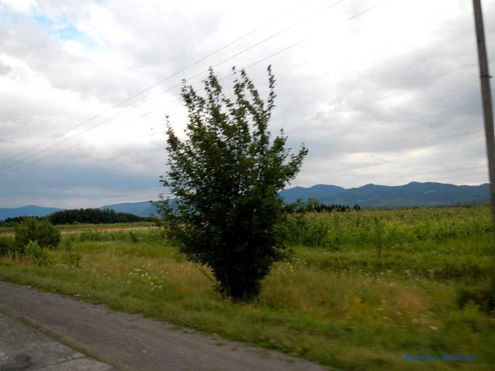 Хустский район