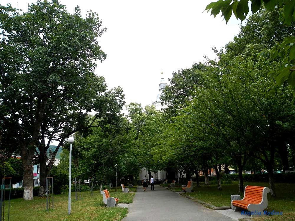 Виноградов