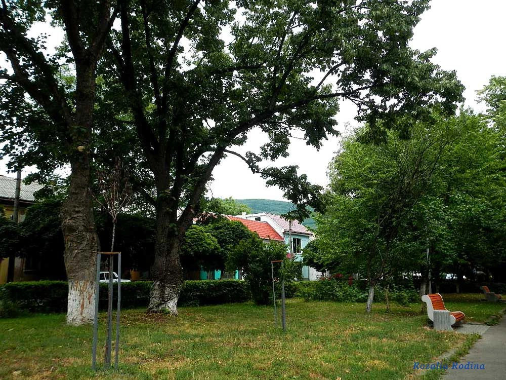 Виноградов