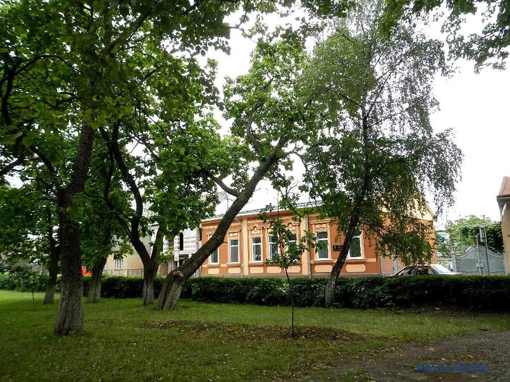 Виноградов