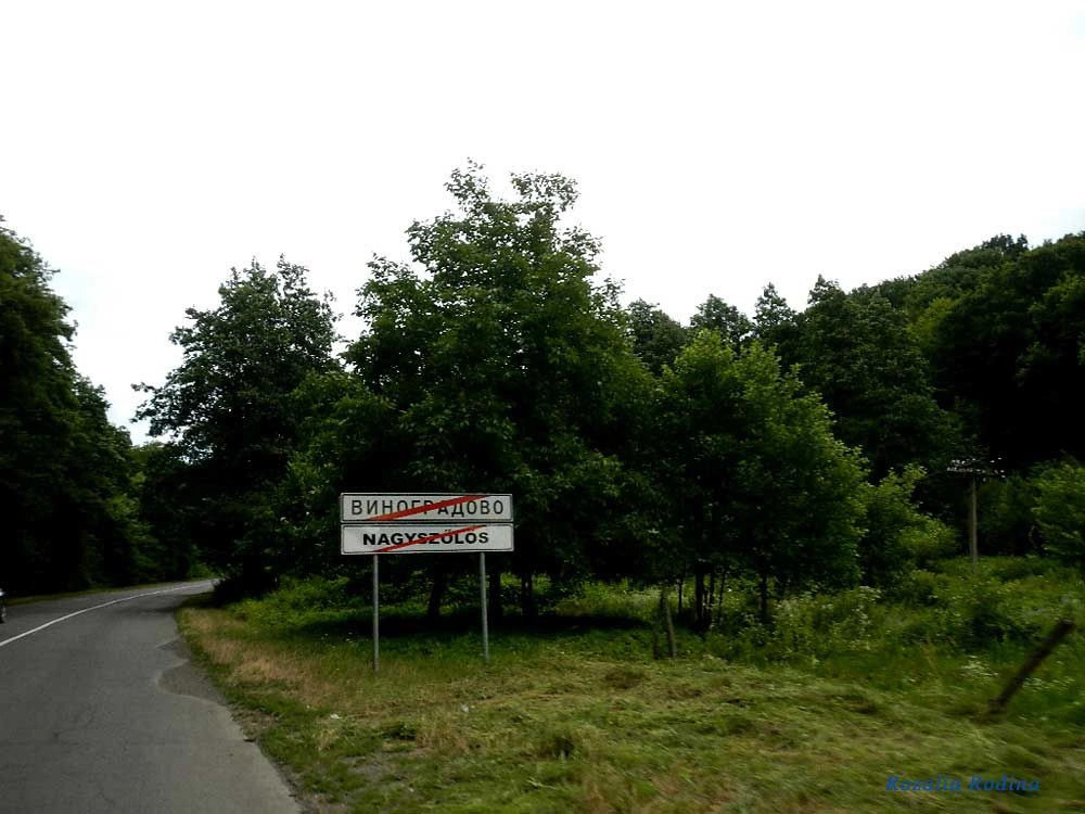 Виноградов
