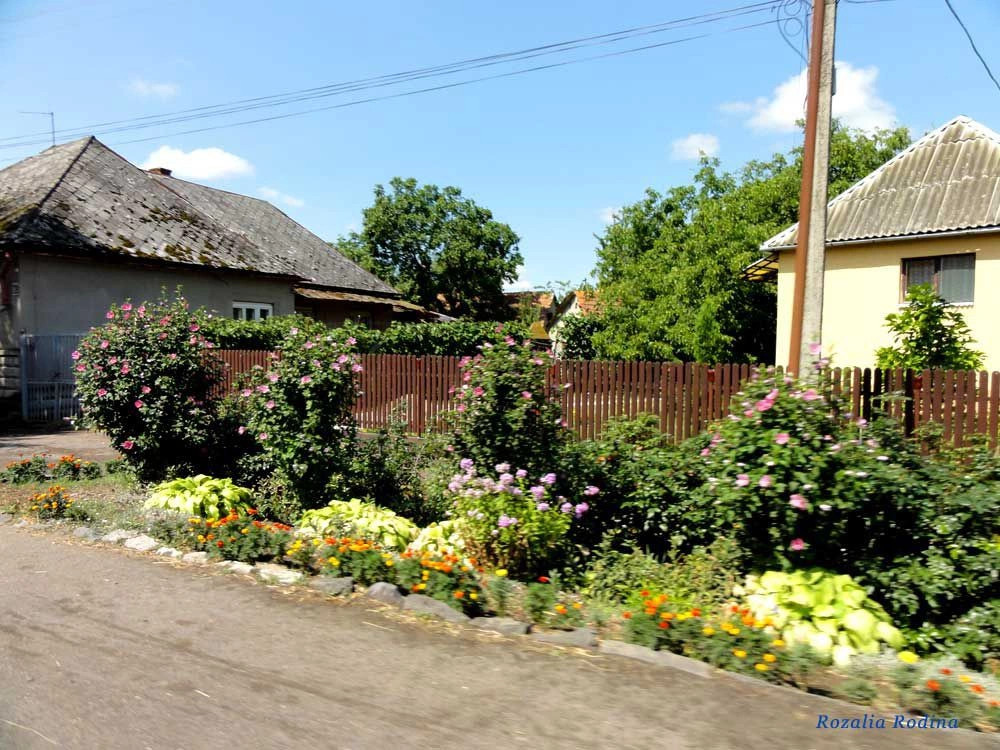 Берегово