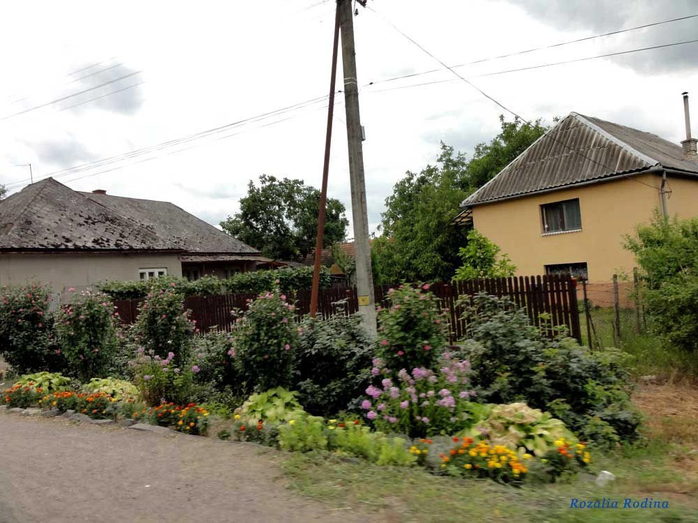 Берегово