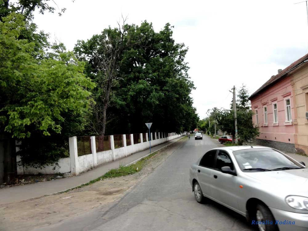 Берегово
