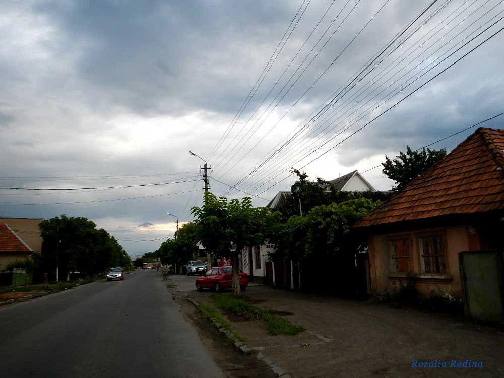 Тячев