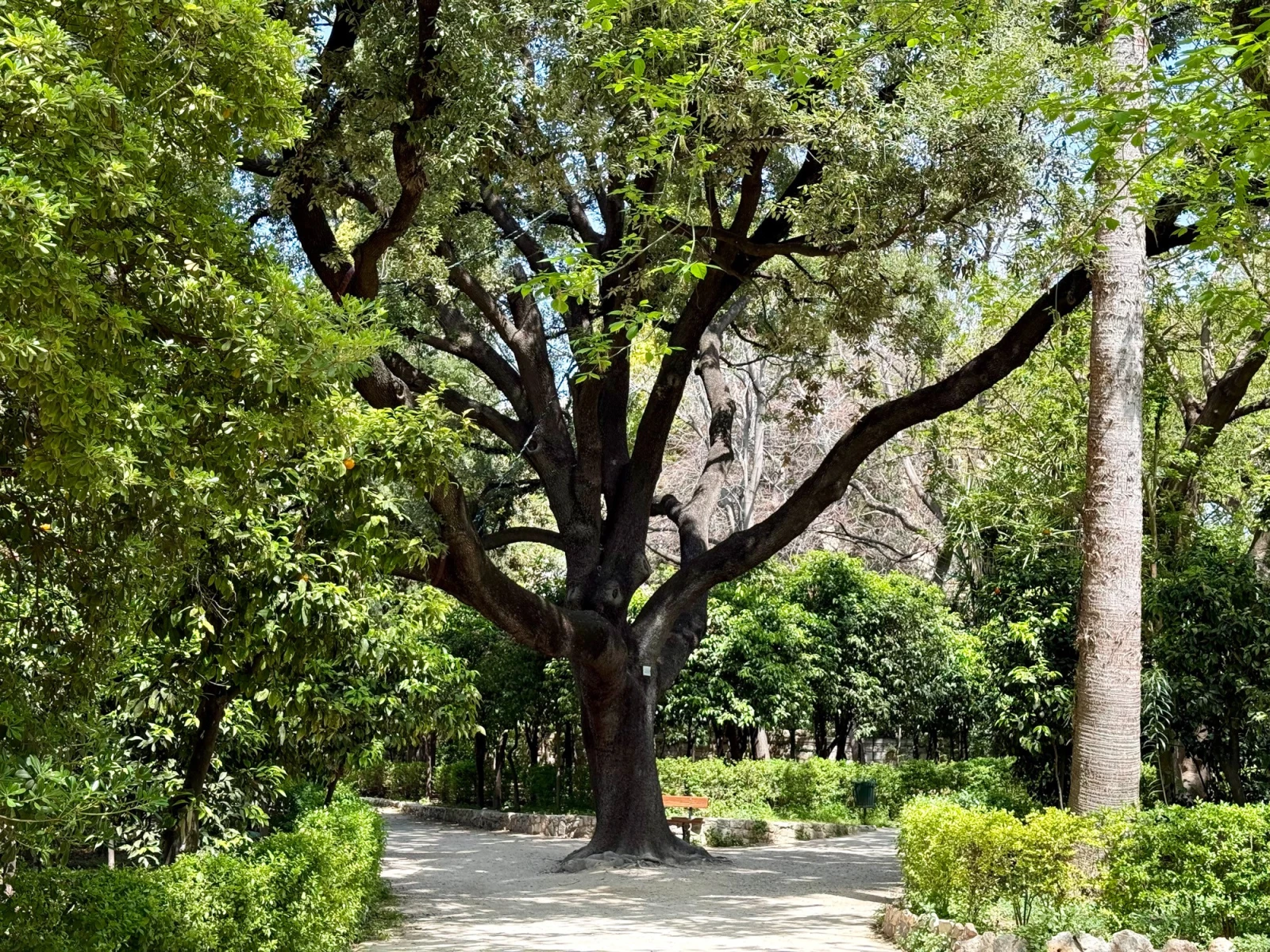 Ботанический музей Национального сада