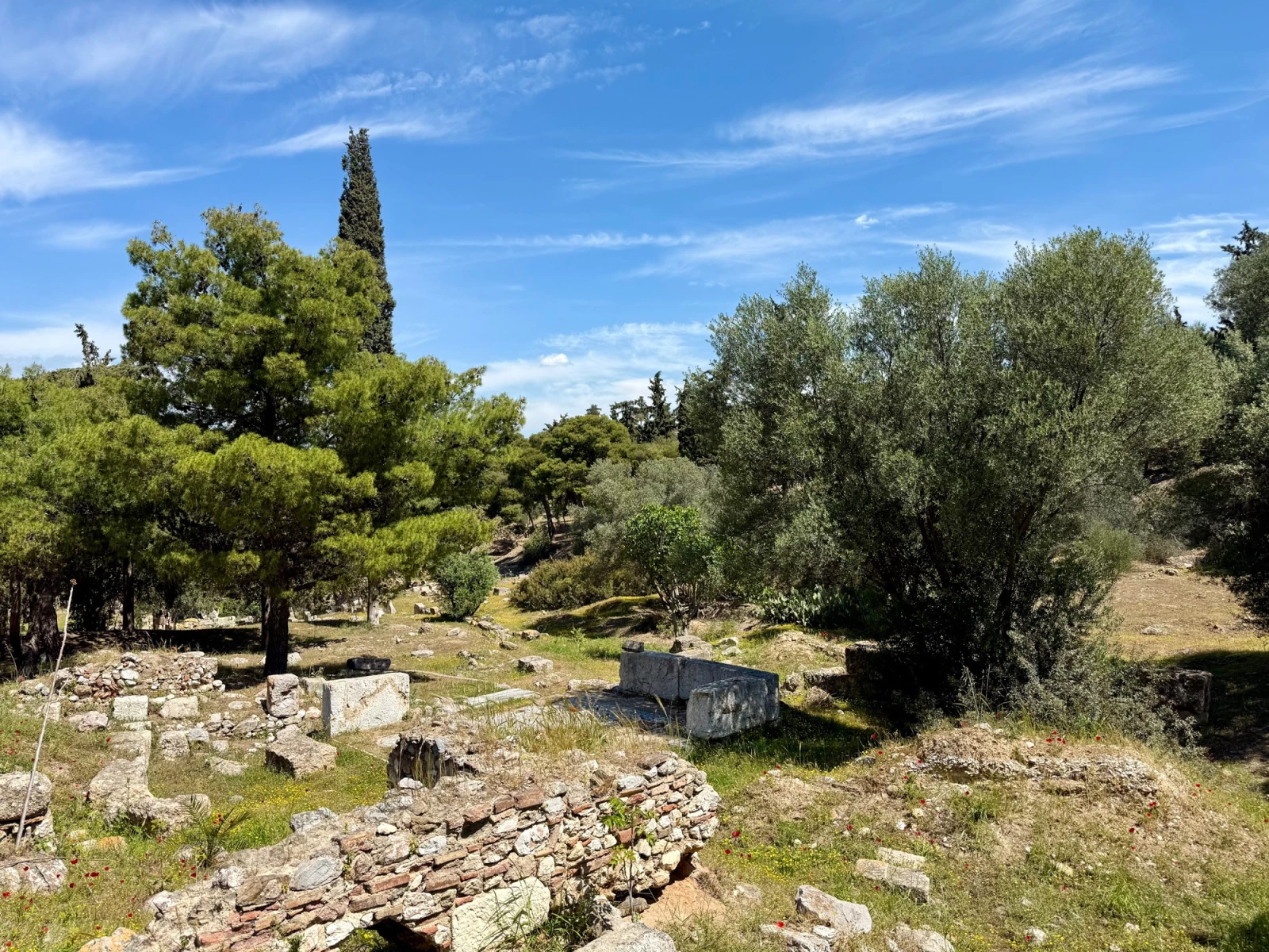 Район Стернопос Коллиту