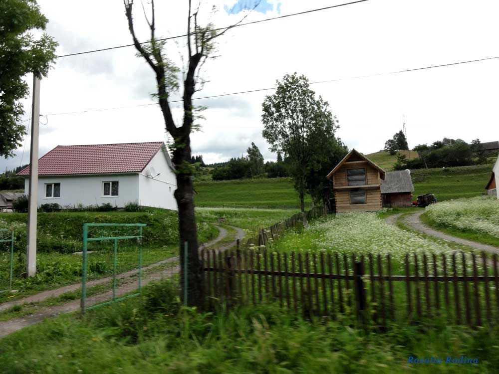 Ясиня