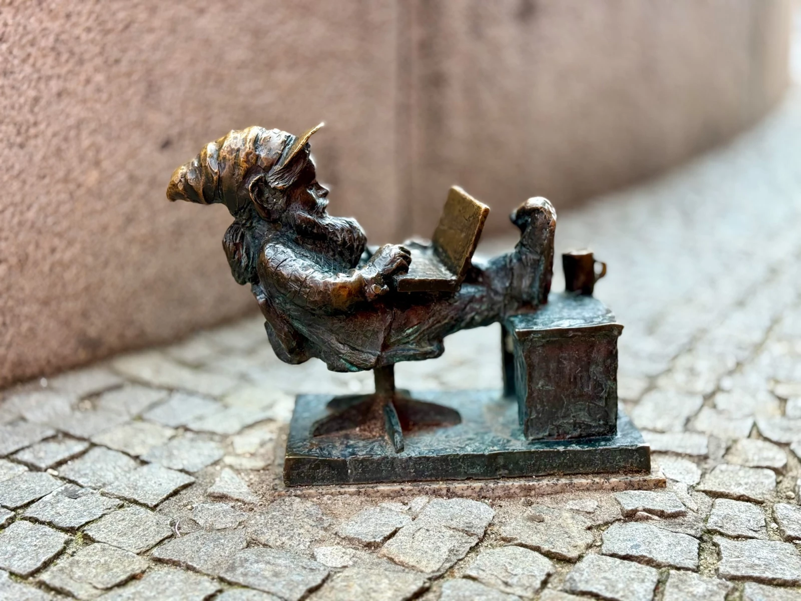 Гном Капжеминюш Программист