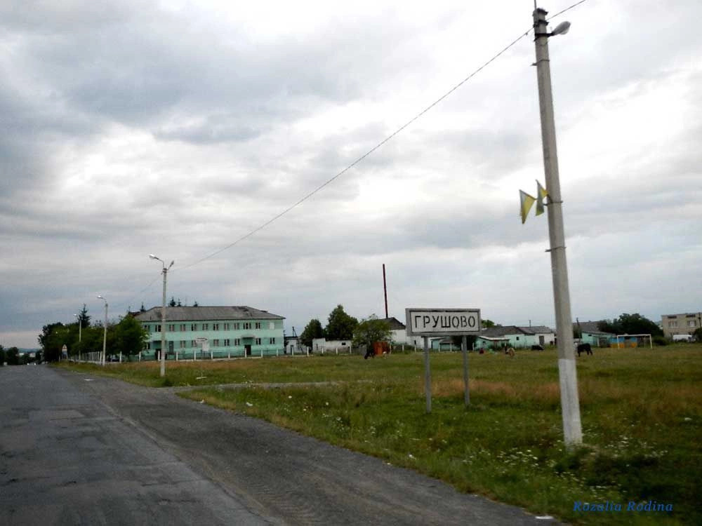 Тячевский район