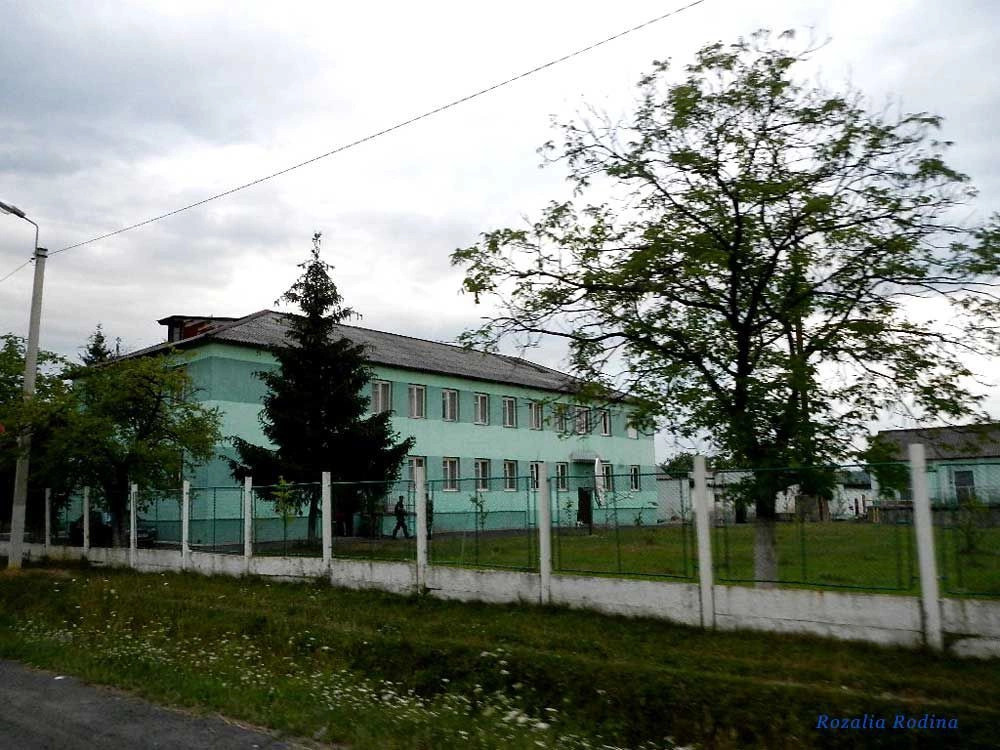 Тячевский район