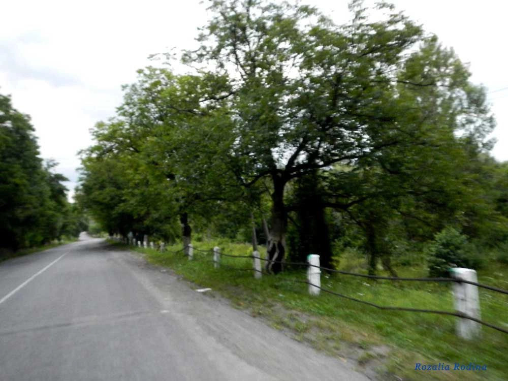 Грушево