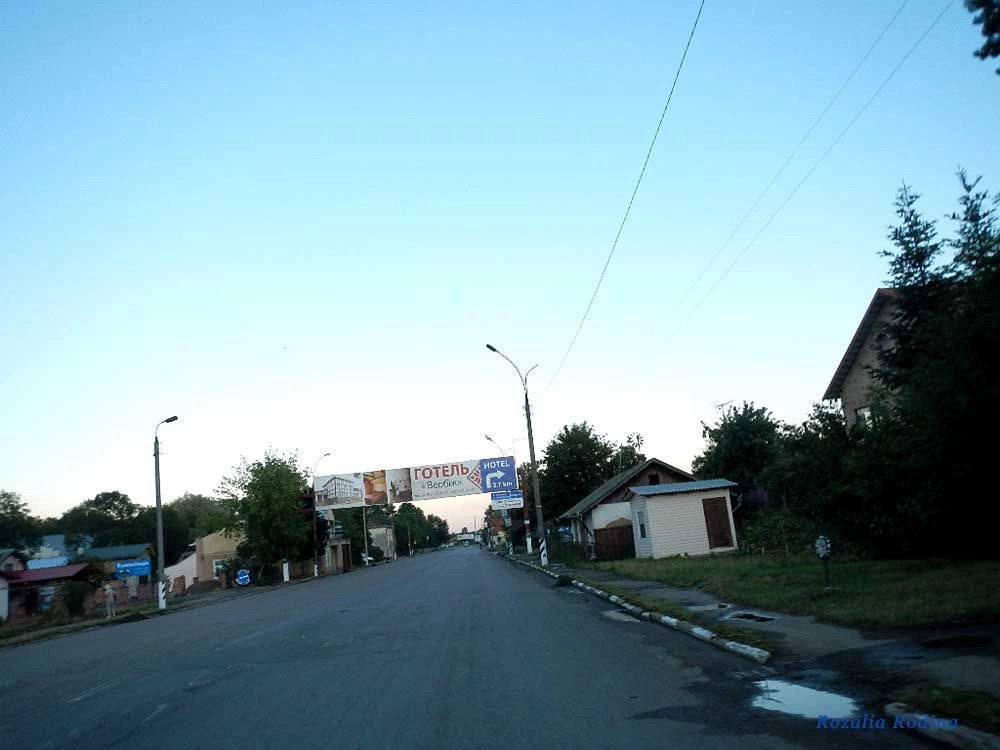 Коломыйский район