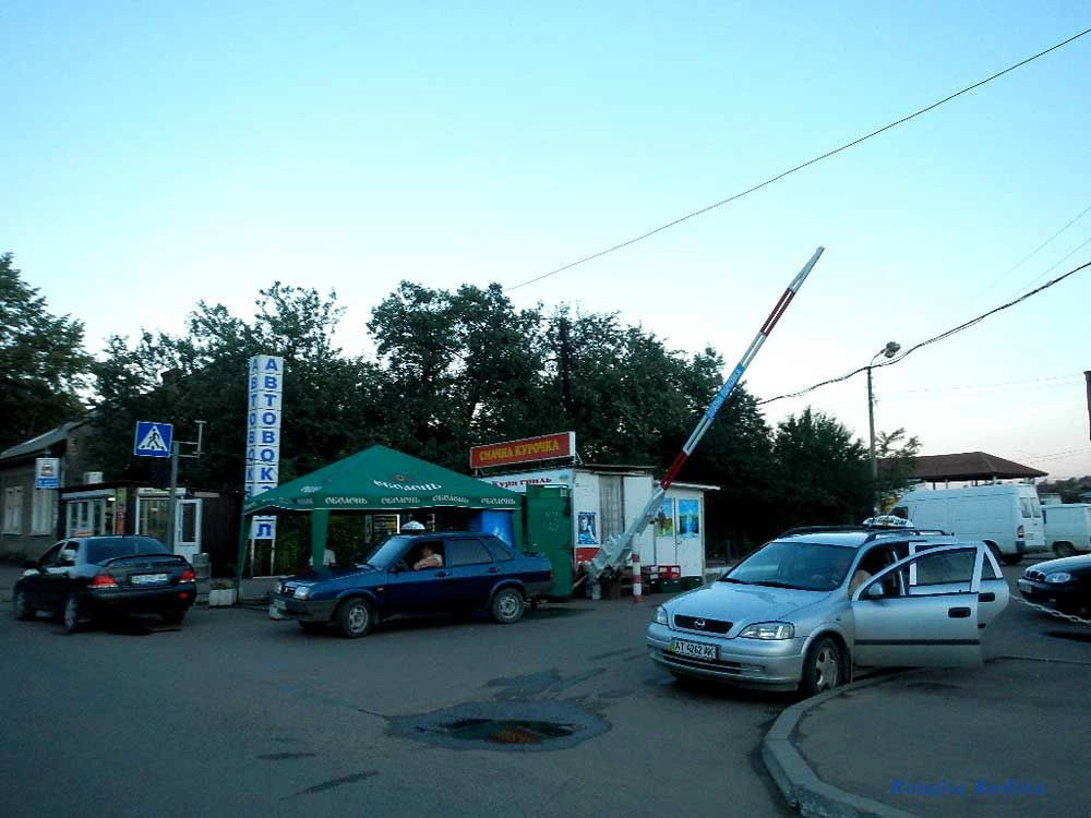 Коломыйский район