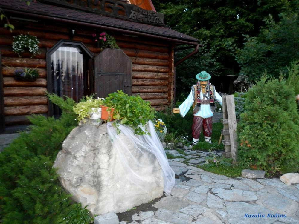 Коломыйский район