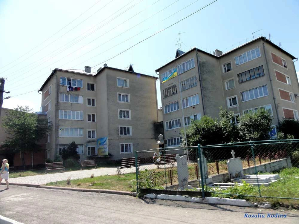 Тысменицкий район