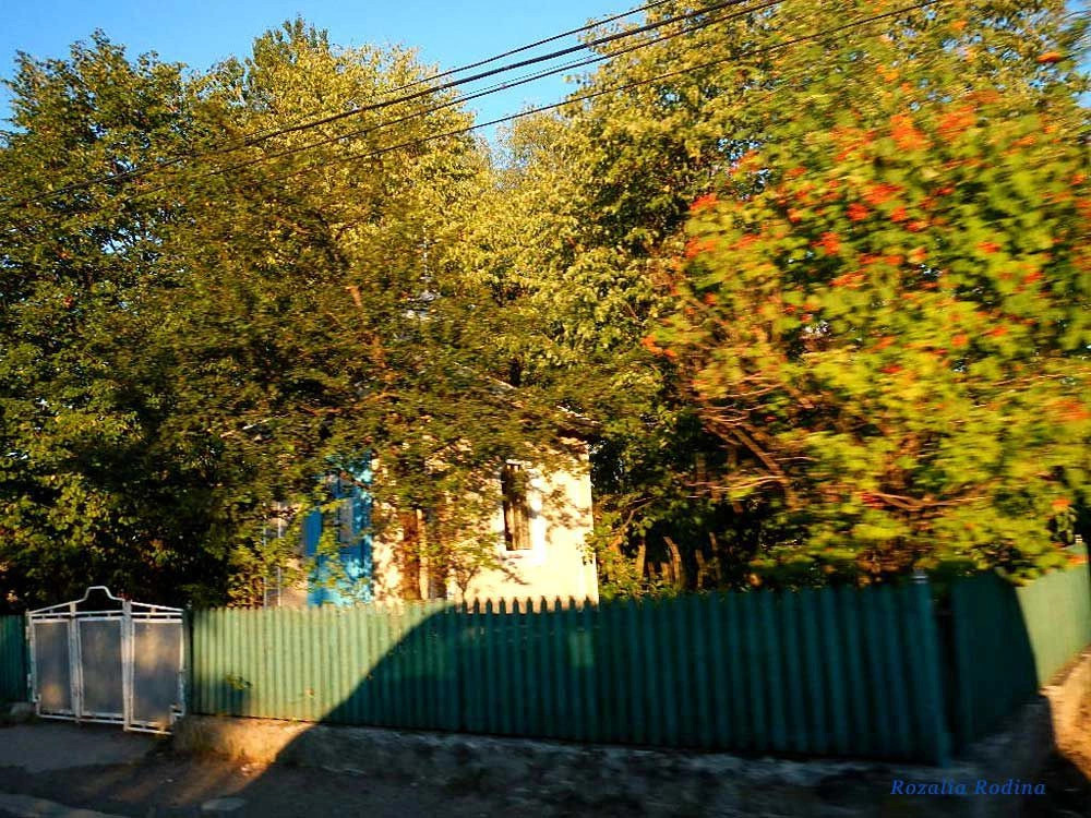 Надворнянский район
