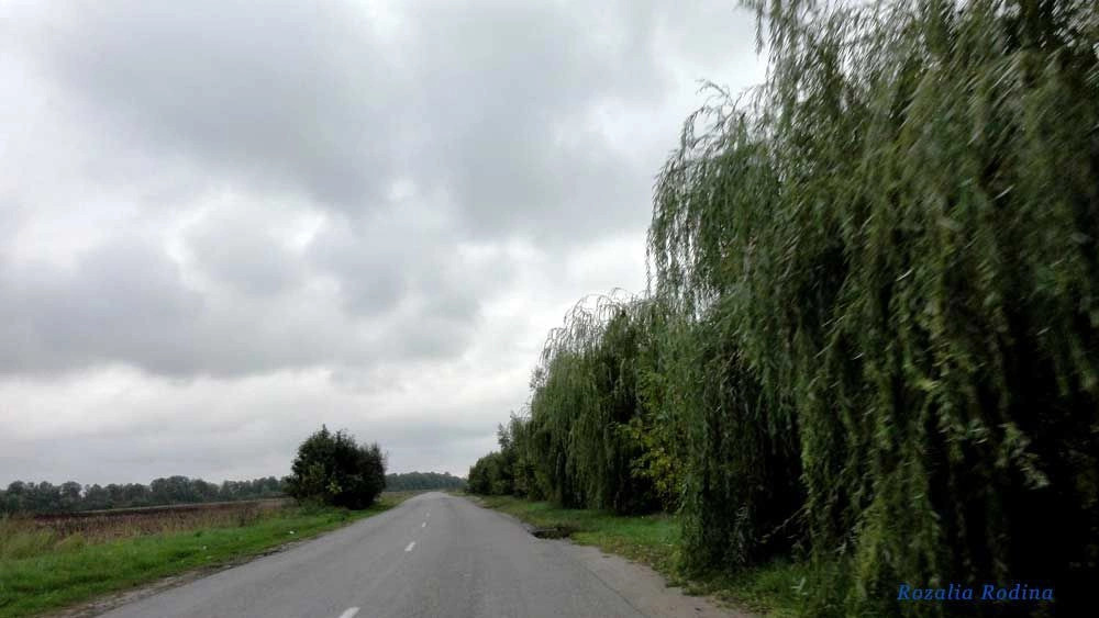 Сквирский район