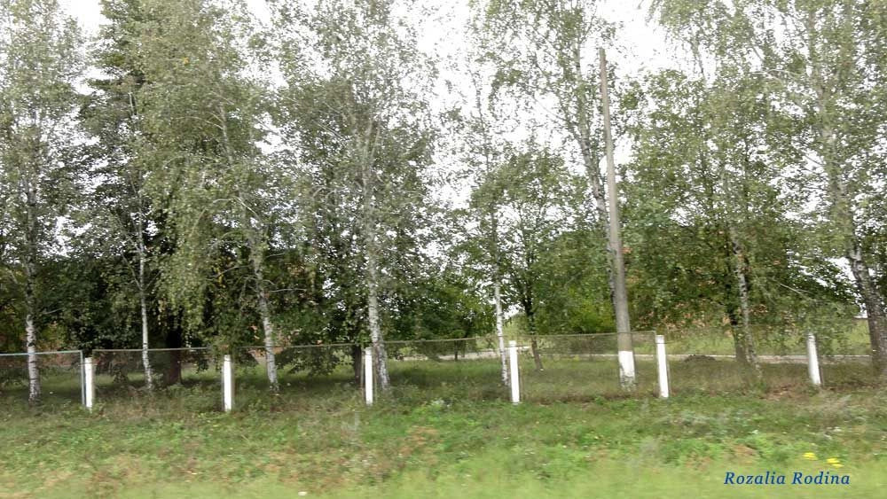 Сквирский район