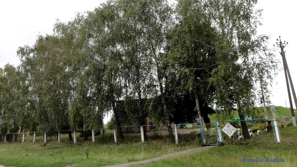 Сквирский район