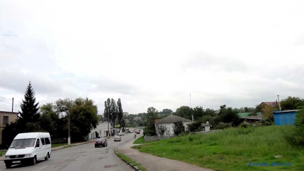 Сквирский район