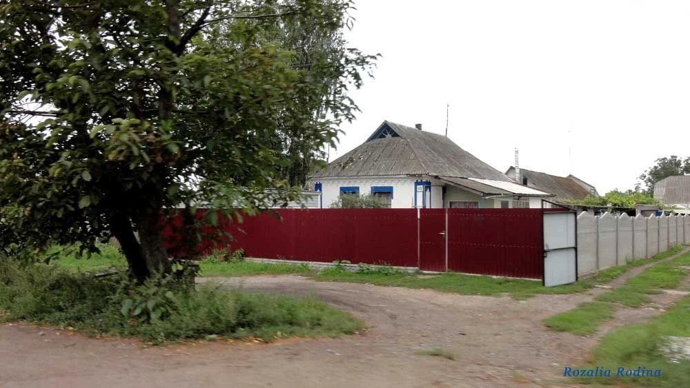 Сквирский район