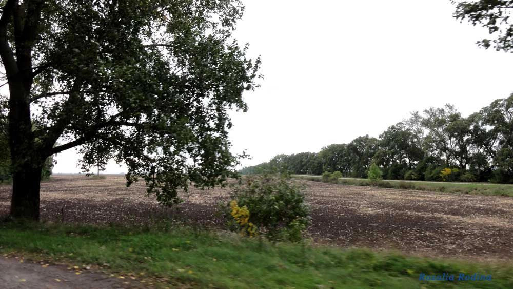 Сквирский район