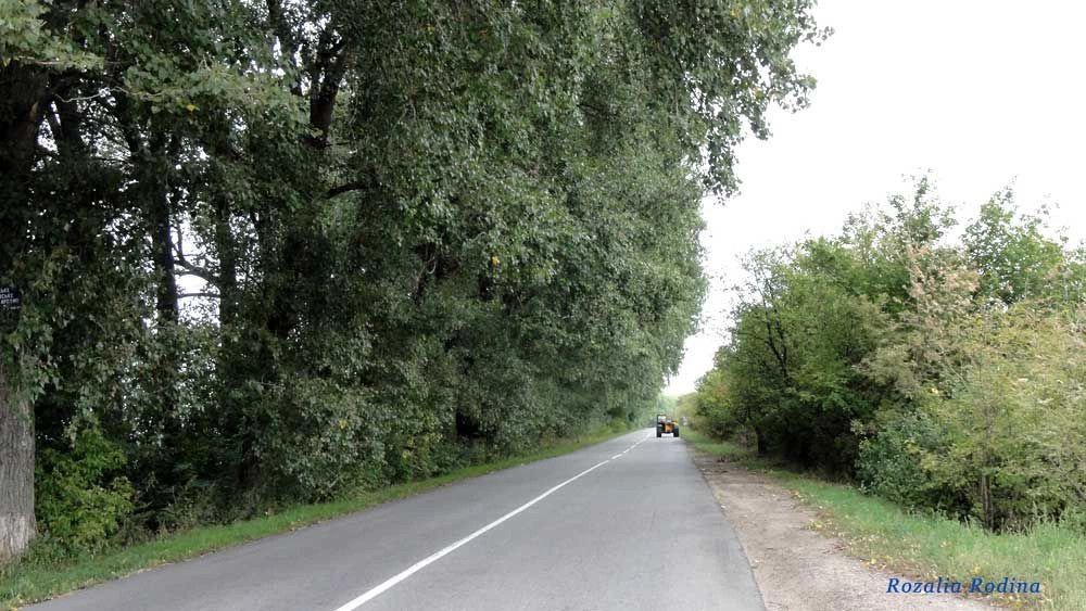 Сквирский район