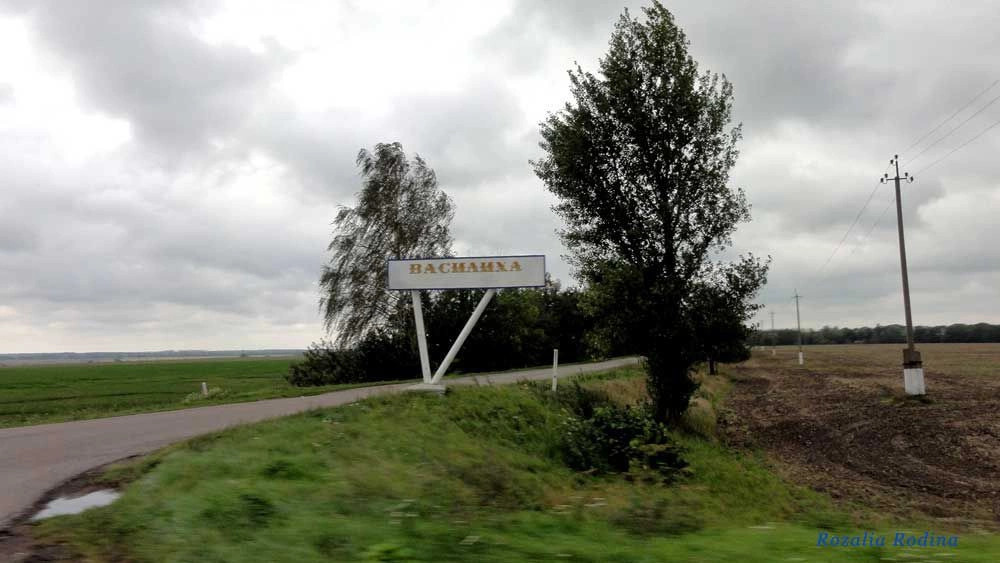 Ставищенский район