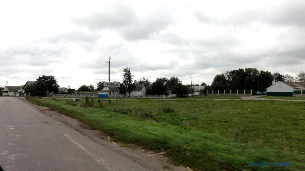 Ставищенский район