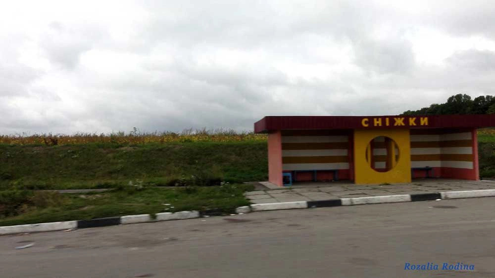 Ставищенский район