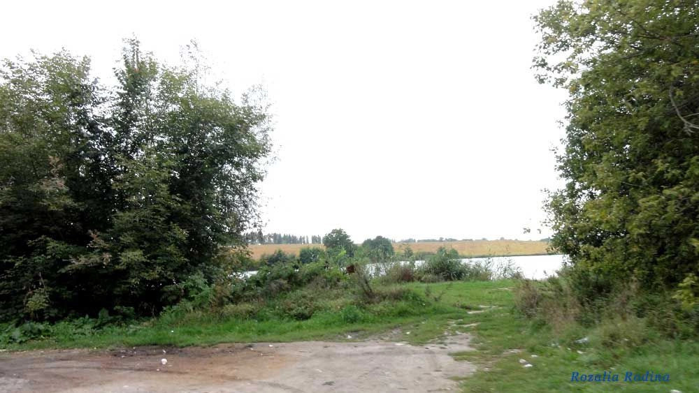 Володарский район (Киев.)