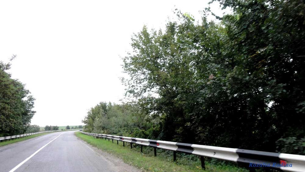 Володарский район (Киев.)