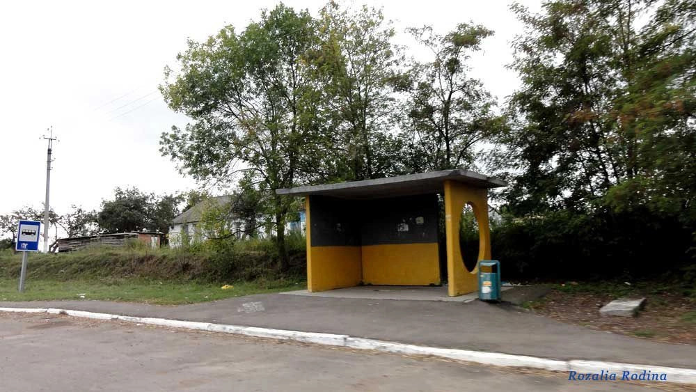 Володарский район (Киев.)