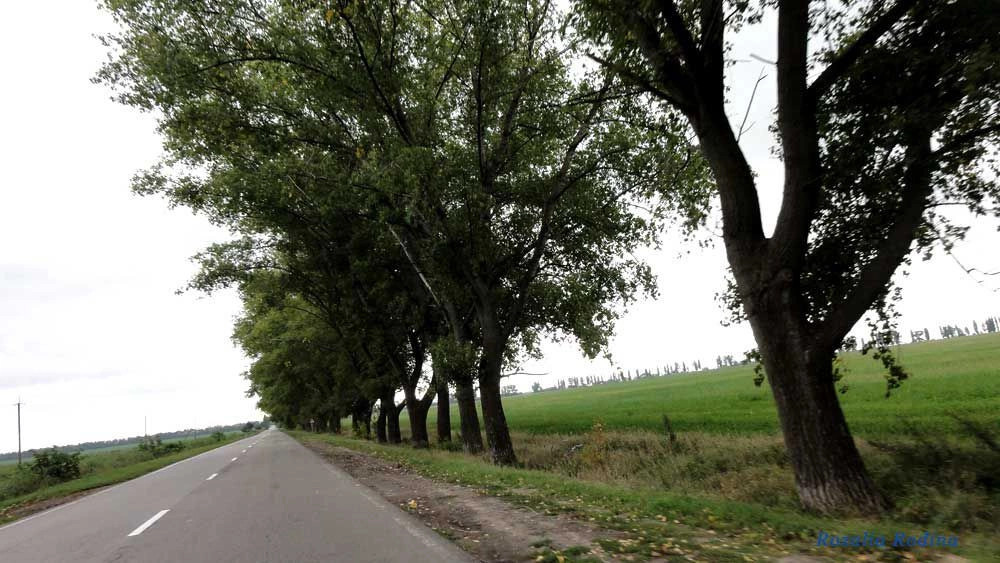 Володарский район (Киев.)