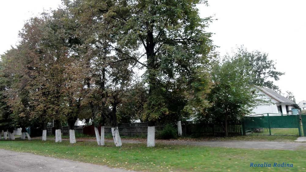 Володарский район (Киев.)