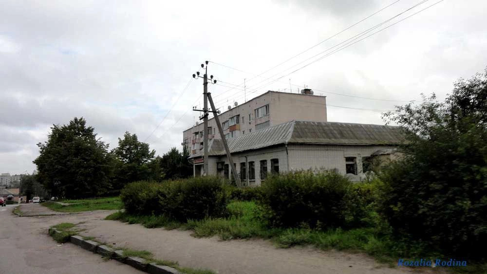 Сквира