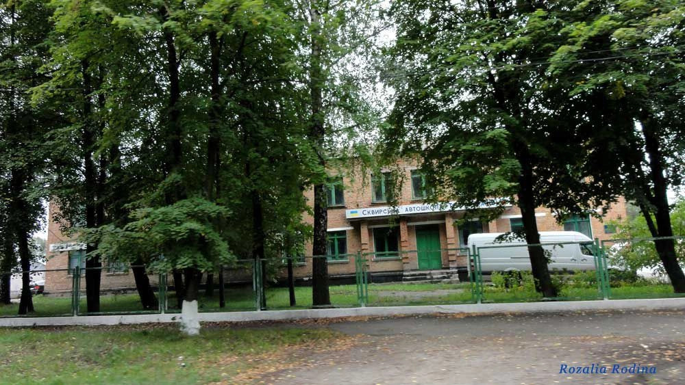 Сквира