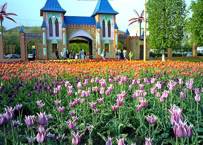 Кировоград
