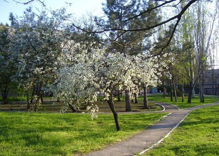 Кировоград