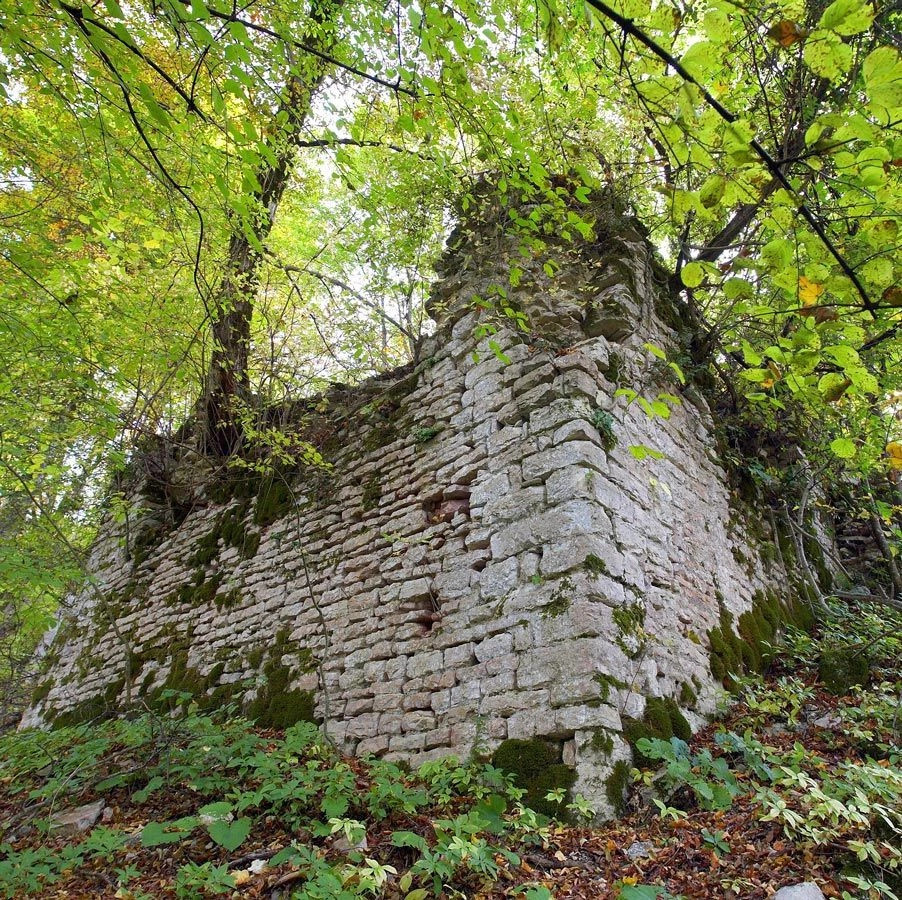 Гагрский район