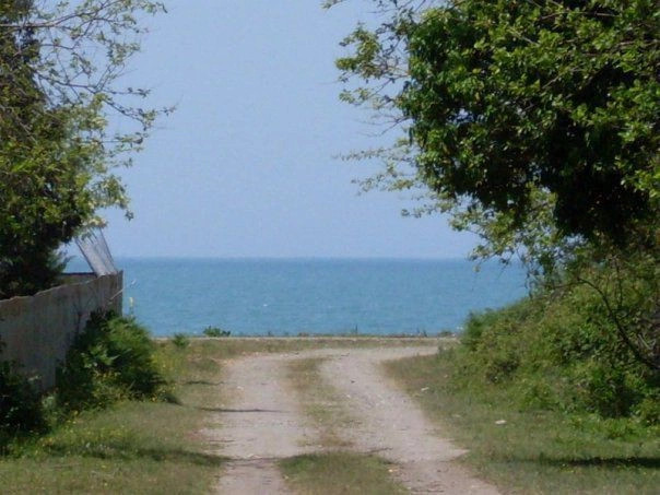 Пшапи