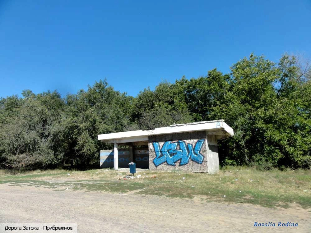 Белгород-Днестровский район
