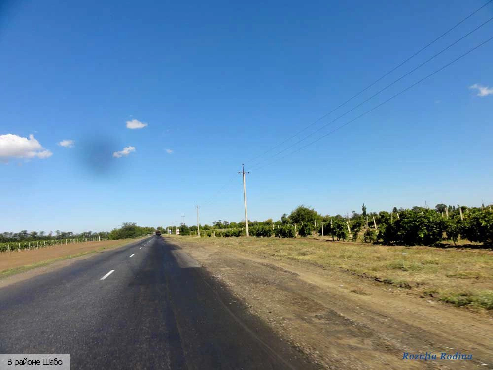 Белгород-Днестровский район